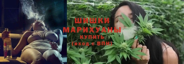 стаф Абаза