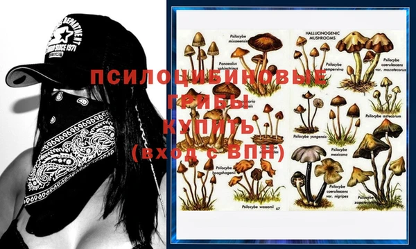 марки lsd Абинск