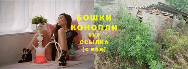 стаф Абаза